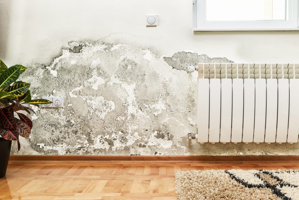 Structural dampness leading to mould growth, affecting your health and belongings.
